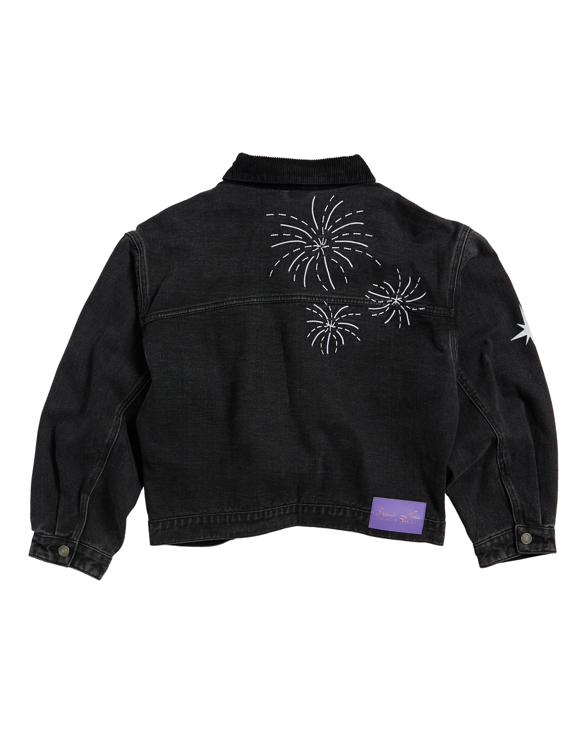 Speak Now (Taylor's Version) Jacket